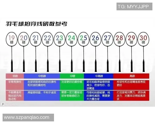 羽毛球装备选购指南：精选球拍推荐与购买技巧分享