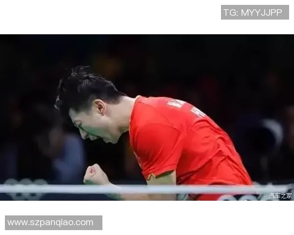 专访乒乓球明星赵磊深度剖析他成功背后的秘诀与心路历程