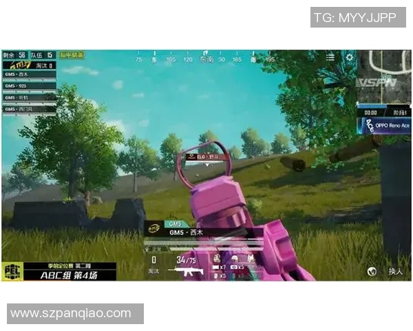 和平精英个人能力排行榜揭晓TES战队荣登第二名引发热议 和平精英个人能力排行榜揭晓TES战队荣登第二名引发热议