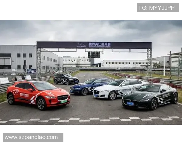 成都羽毛球队挑战赛特别报道:从默默无闻到全国瞩目的辉煌历程 成都羽毛球队挑战赛特别报道:从默默无闻到全国瞩目的辉煌历程