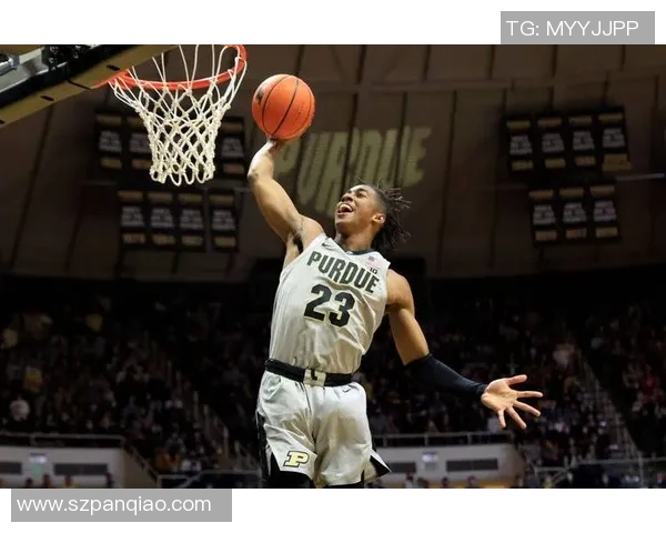 杰登艾维的崛起之路：从新秀到NBA明星的成长历程