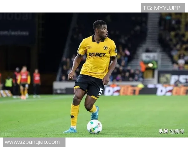 狼队对阵桑德兰足球直播精彩瞬间回顾与赛后分析