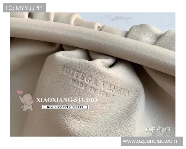 进口皮与原厂皮的优劣比较及选择指南解析