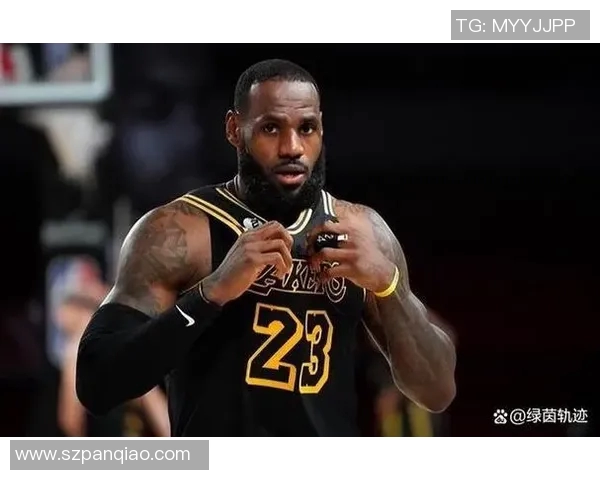詹姆斯：从篮球传奇到社会影响力的多重身份探索与成就之路