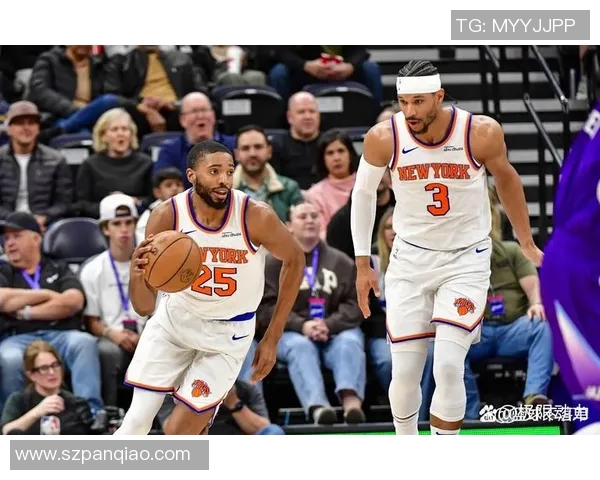 2014年尼克斯与山猫激战回顾球员表现与比赛亮点全解析